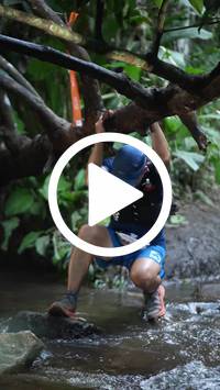 BIB:  <button type="button" onclick="openModal(27240095)" class="btn btn-primary btn-sm float-right" data-toggle="modal" data-target=".modal-high-quality">
                <i class="fa fa-download"></i> Download
                </button>